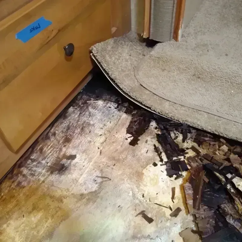 Wood Floor Water Damage in Mount Greenwood, IL